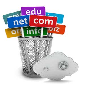درباره هاست و دومین چه می دانیم؟